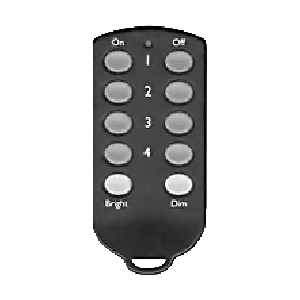Slim line Key Chain Remote
